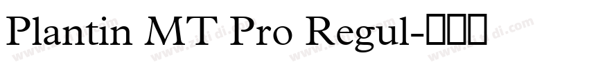 Plantin MT Pro Regul字体转换